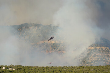 Air Attack coordinating retardant drops on a wildfire