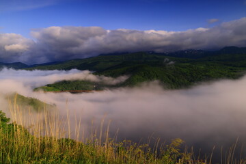 岩手県奥州市　新緑の奥州湖