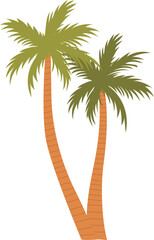 Palm tree on white background