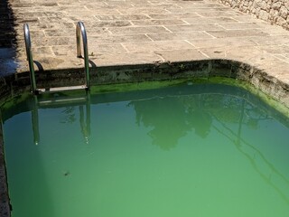 Swimming pool with green water
