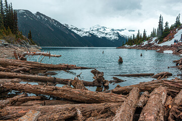 Fototapeta na wymiar Garibaldi lake with fallen trees, and mountains in winter