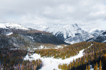 Snow covered mountain behind an evegreen forest