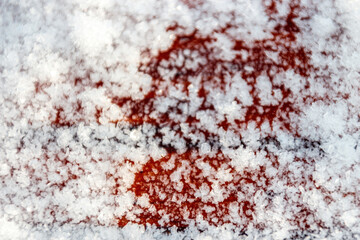 Close-up on a snow flakes