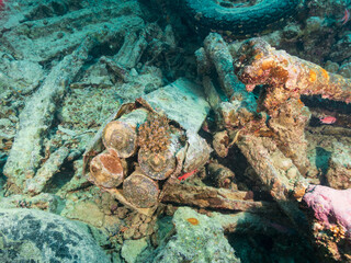 Ammunition inside ship wreck the wreck of the SS Thistlegorm in the Red Sea, Egypt.  Underwater photography and travel.