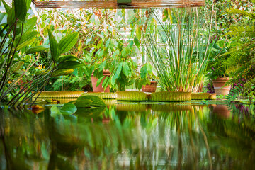 The University Botanical Garden (Botanisk hage) is Norway's oldest botanical garden, a free oasis...