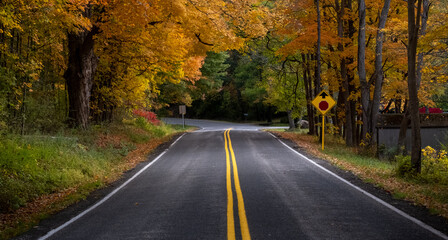 Country road in the fall