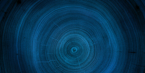 Detailed blue cut wood tree background with circle growth rings pattern - 618950330