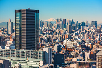 Tokyo, Japan at Shinjuku with Mount Fuji