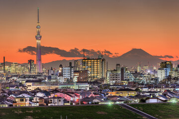 Tokyo, Japan skyline with Mt. Fuji and the Tower