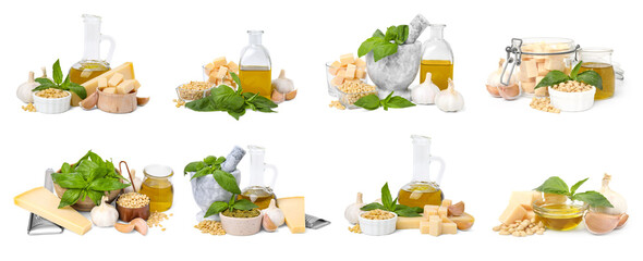 Collage with ingredients for homemade pesto sauce isolated on white
