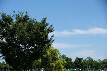 2023年　埼玉県　しらこばと水上公園