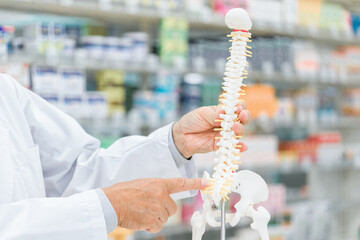 薬局で骨格模型を使って服薬指導する薬剤師・調剤師
