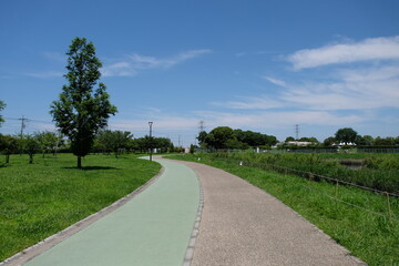 自転車ルート　しらこばと水上公園　レンタサイクル