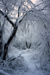 snow-covered trees and icy branches in winter, created with generative ai