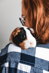 girl and a guinea pig