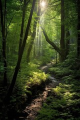 lush green forest with sunlight filtering through, created with generative ai