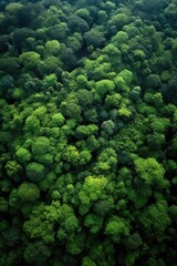 Naklejka na ściany i meble aerial view of a lush green forest, created with generative ai