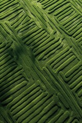 Fototapeta premium aerial view of a lush grass field patterned with mowed lines, created with generative ai