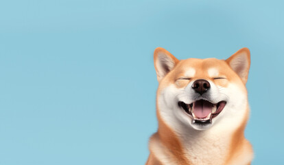 Happy dog smiling on blue background