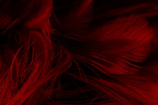 Beautiful dark red maroon feather pattern texture background