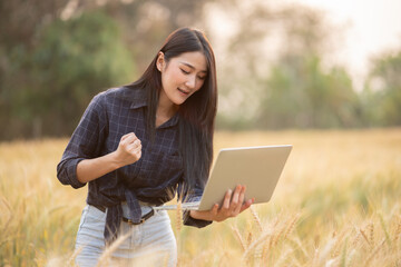 Farmer giving advice on wheat work online on tablet in wheat field