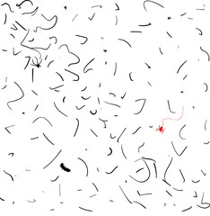 Lots of hair, dust and harmful insects. And only a useful spider flies in the air, looking for pests for dinner.