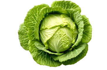 Obraz premium fresh cabbage