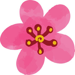 Watercolor flower painting illustration