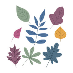 Autumn leaf isolated on white background simple cartoon flat style vector illustration
