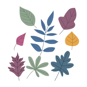 Autumn leaf isolated on white background simple cartoon flat style vector illustration © dedi