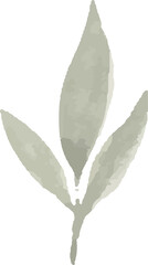 Watercolor leaf painting illustration