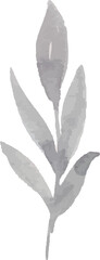 Watercolor leaf painting illustration