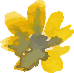 Watercolor flower painting illustration