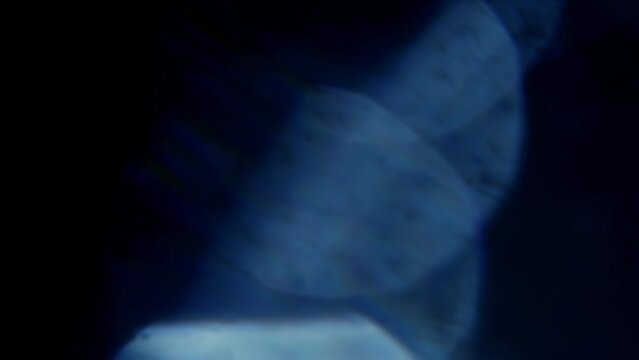 4K Shoot Real Organic Light Leaks 02