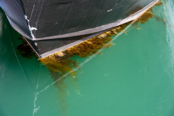 Closeup of black hull of metal boat, seaweed growing on bottom of hull, moored in calm water
