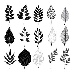 Monochromatic narratives: exploring the stories of grayscale foliage