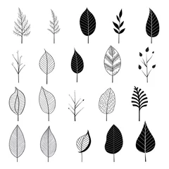 Ingelijste posters Tranquil compositions: hand-drawn art inspired by black and white plant leafs © Ranya Art Studio