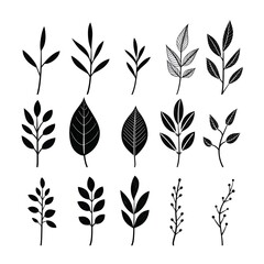 Shades of simplicity: exploring black and white foliage art
