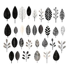 Serene botanical sketches: celebrating the tranquility of monochromatic plant leafs