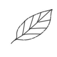 Leaf