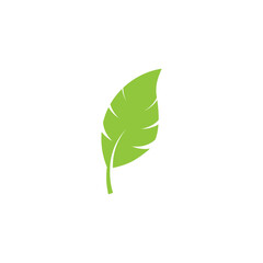 Logos of green Tree leaf  nature element vector