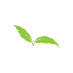 Logos of green Tree leaf  nature element vector