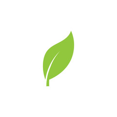 Logos of green Tree leaf  nature element vector