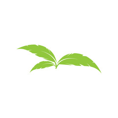 Fototapeta na wymiar Logos of green Tree leaf nature element vector