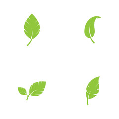 Logos of green Tree leaf  nature element vector