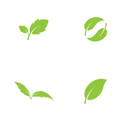 Logos of green Tree leaf  nature element vector