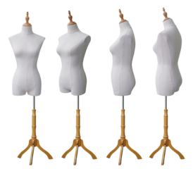 Tailor's mannequin on stand isolated on transparency background