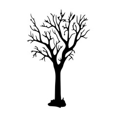 Fototapeta premium Haunted Tree Black Shadow Scary Horror 