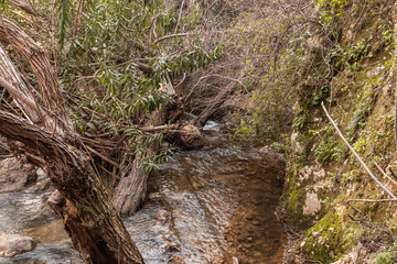 Naklejka na ściany i meble The rapid, shallow, cold mountain Ayun river in the Galilee, near Metula city, in northern Israel