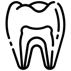 tooth anatomy outline vector icon